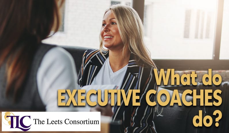 the purpose of executive coaches and what they do