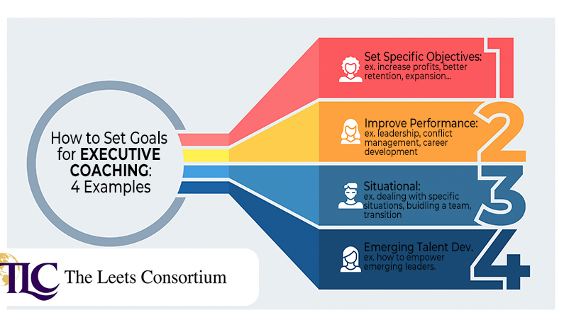 setting goals for the executive coaching process - some examples: set objectives, improve performance, situational, emerving talent development